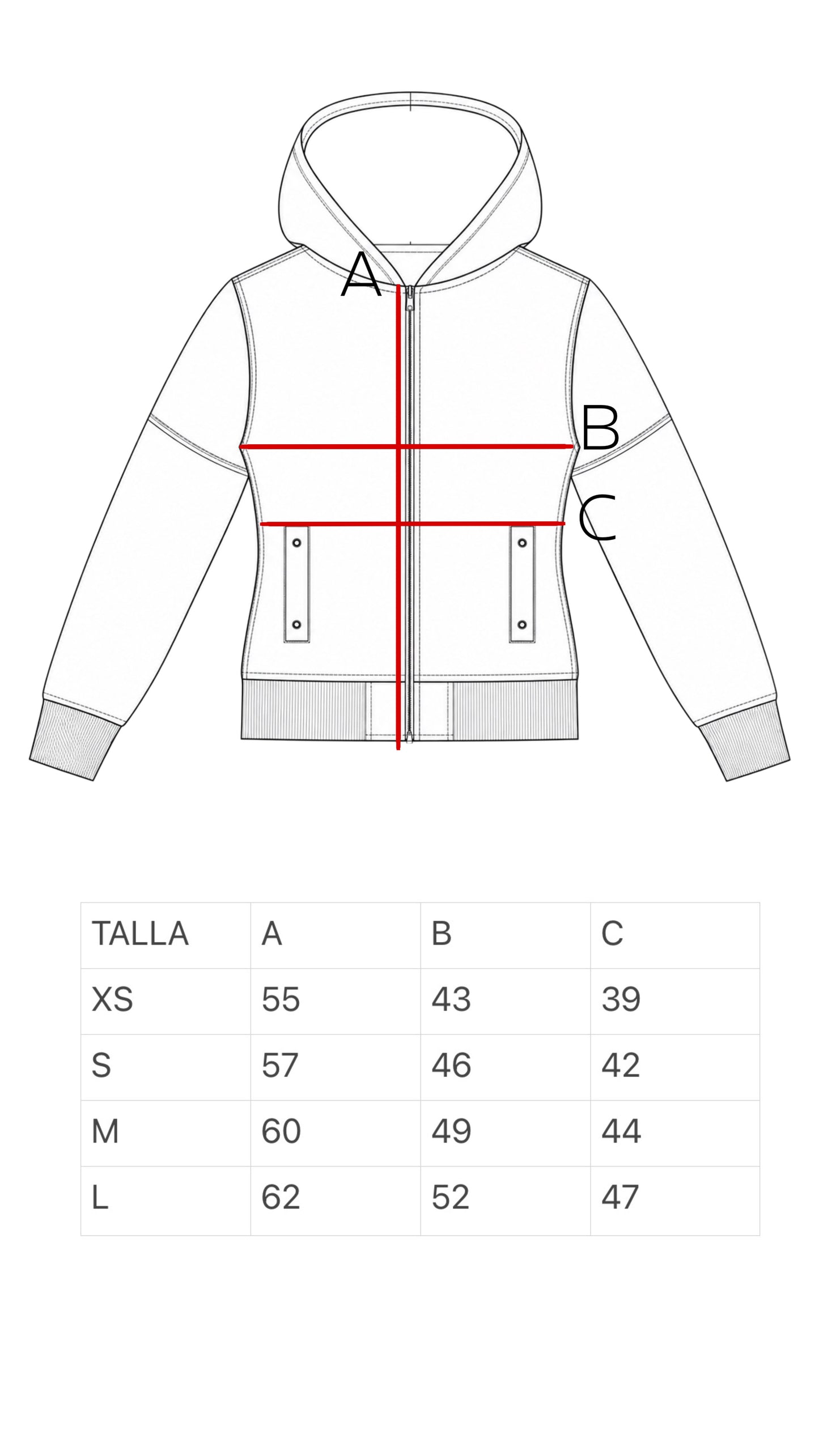 SLIM HOODIE GRIS V2